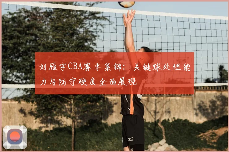 刘雁宇CBA赛季集锦：关键球处理能力与防守硬度全面展现