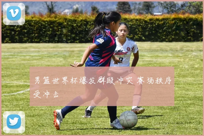 男篮世界杯爆发群殴冲突 赛场秩序受冲击