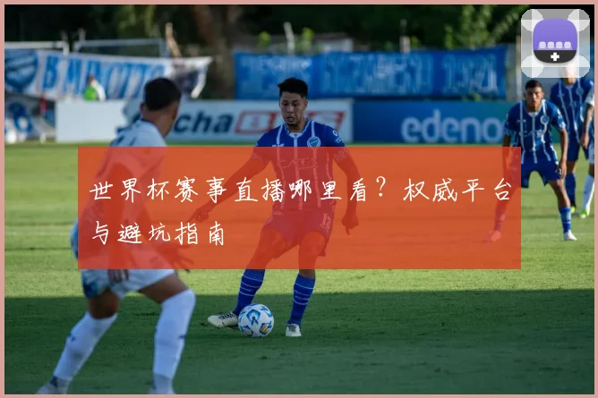 世界杯赛事直播哪里看？权威平台与避坑指南