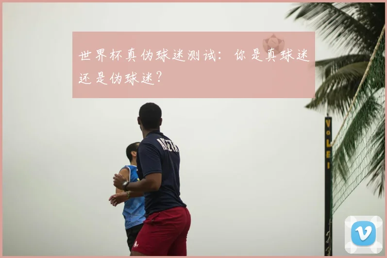 世界杯真伪球迷测试：你是真球迷还是伪球迷？