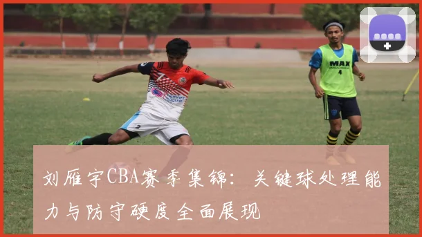 刘雁宇CBA赛季集锦：关键球处理能力与防守硬度全面展现