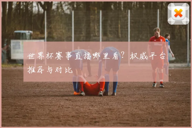 世界杯赛事直播哪里看？权威平台推荐与对比