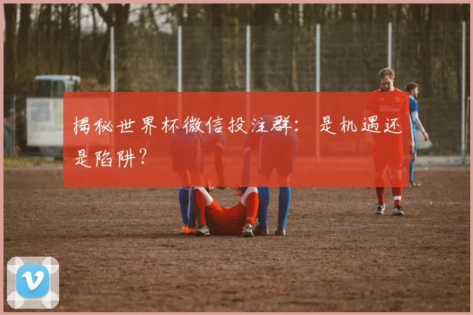 揭秘世界杯微信投注群：是机遇还是陷阱？