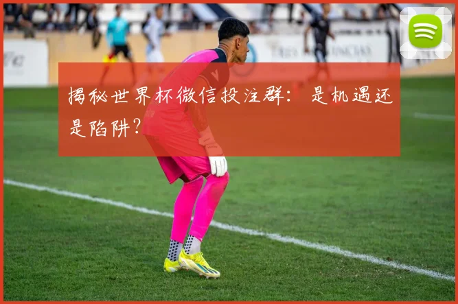 揭秘世界杯微信投注群：是机遇还是陷阱？