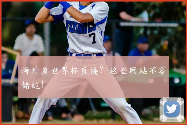 海外看世界杯直播?这些网站不容错过!