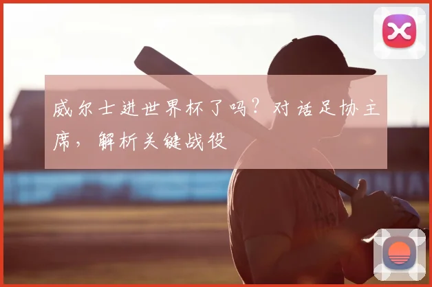威尔士进世界杯了吗？对话足协主席，解析关键战役