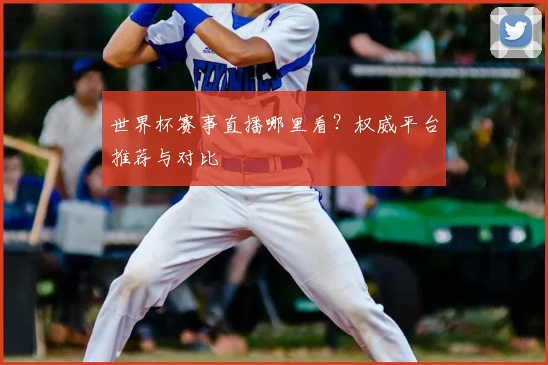世界杯赛事直播哪里看？权威平台推荐与对比