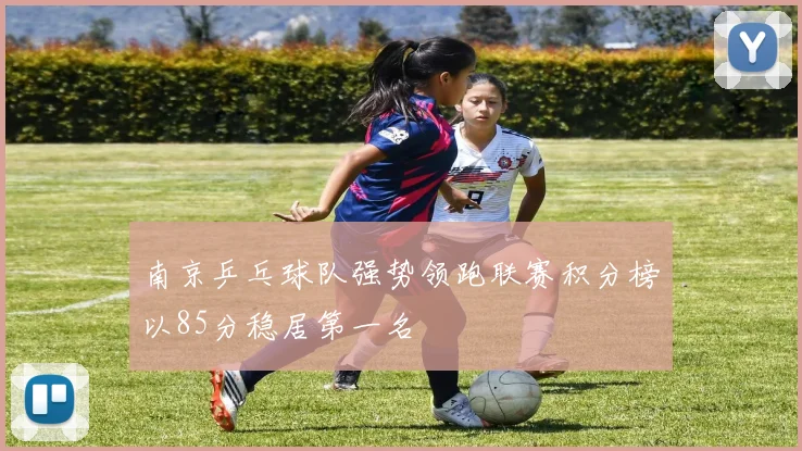 南京乒乓球队强势领跑联赛积分榜以85分稳居第一名