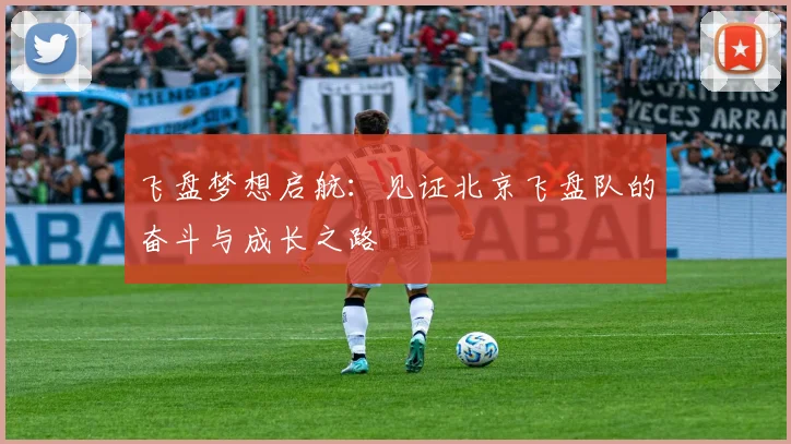 飞盘梦想启航：见证北京飞盘队的奋斗与成长之路