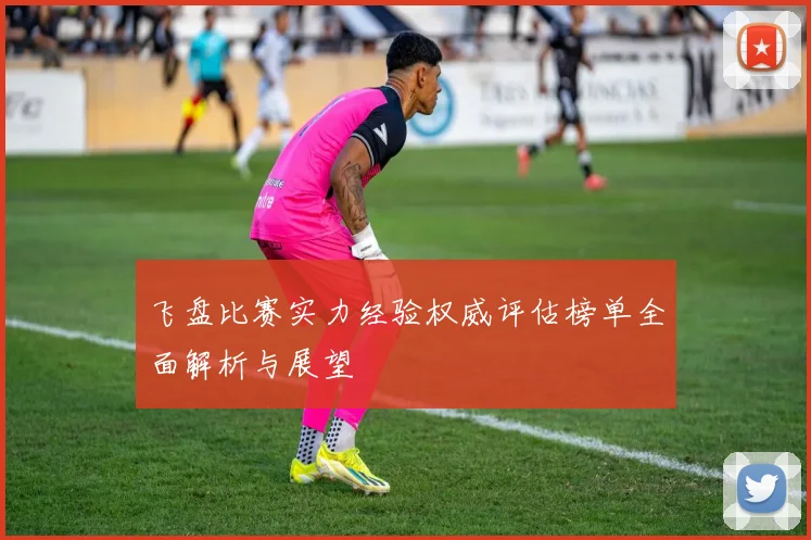 飞盘比赛实力经验权威评估榜单全面解析与展望
