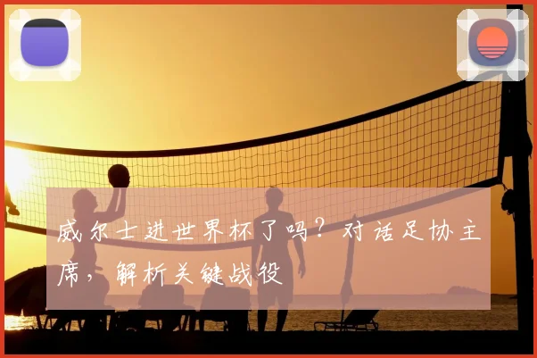 威尔士进世界杯了吗？对话足协主席，解析关键战役