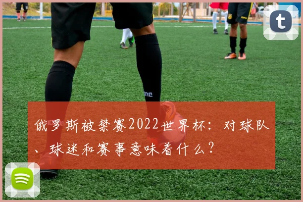 俄罗斯被禁赛2022世界杯：对球队、球迷和赛事意味着什么？