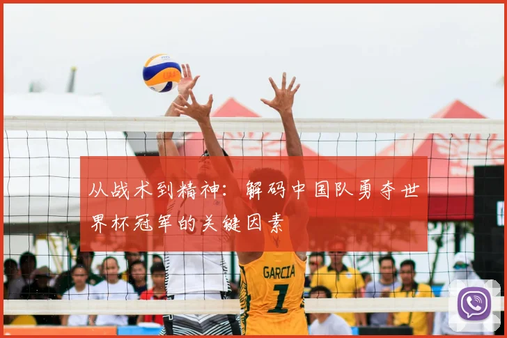 从战术到精神：解码中国队勇夺世界杯冠军的关键因素
