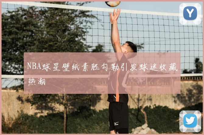 NBA球星壁纸素胚勾勒引发球迷收藏热潮