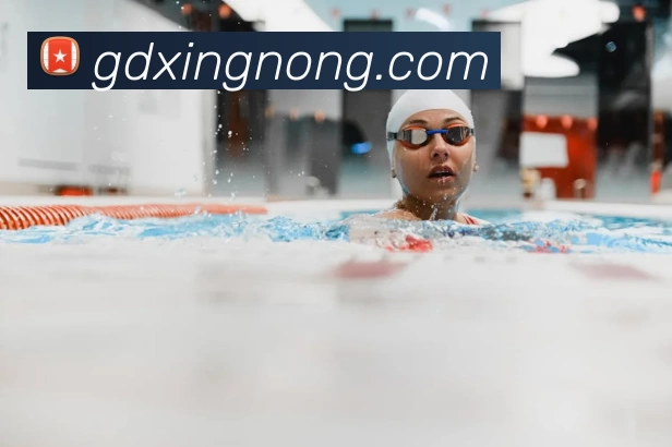 华体会体育发展历程